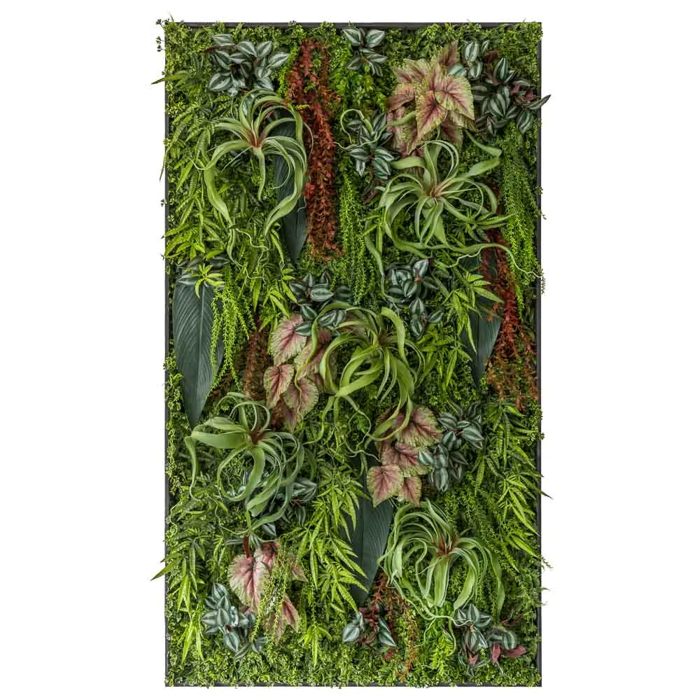 Quadro rettangolare di caladium e tillandsia bordeaux