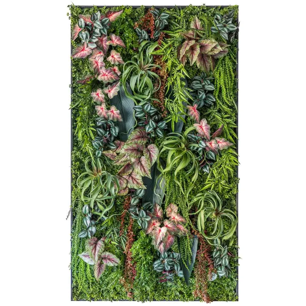Quadro rettangolare di caladium e tillandsia tropicale