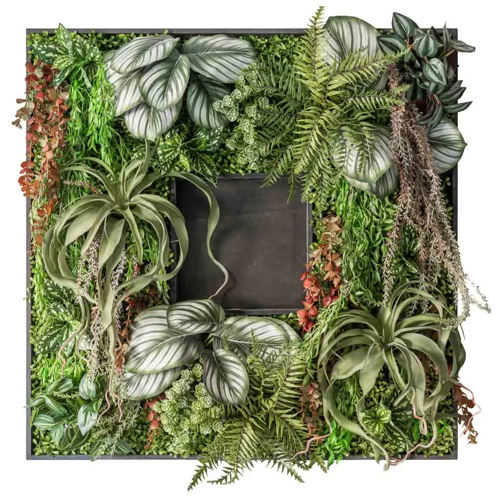 Quadro quadrato di calathea e tillandsia bordeaux