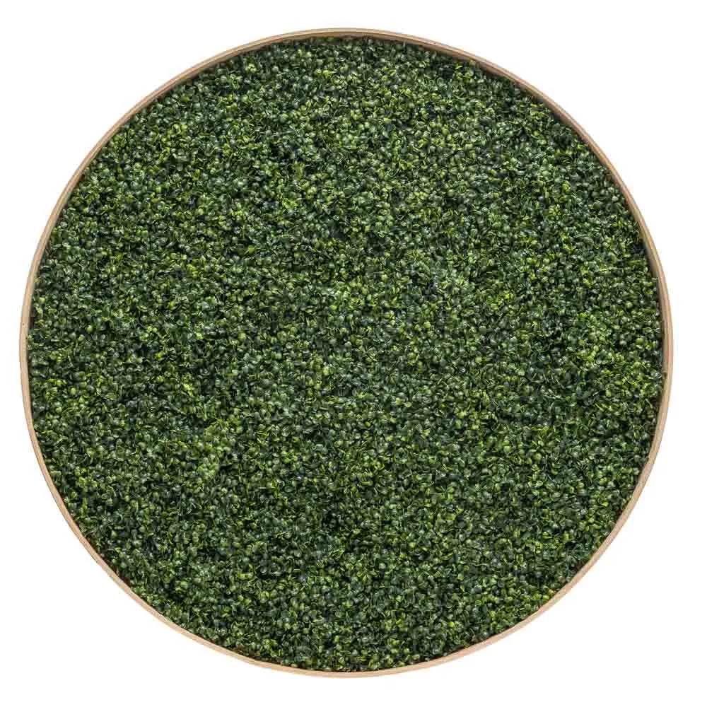 Quadro circolare di bosso monocromatico verde
