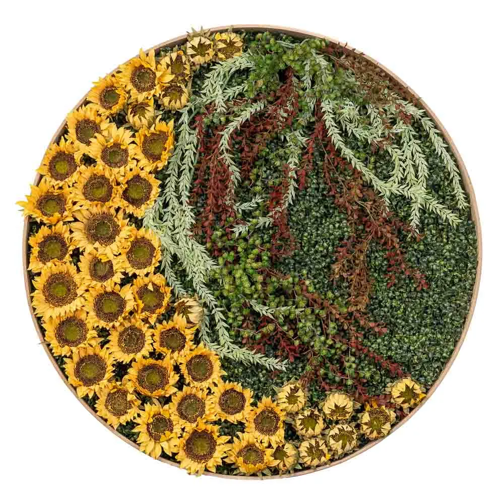 Quadro circolare con girasoli e bacche bicolore