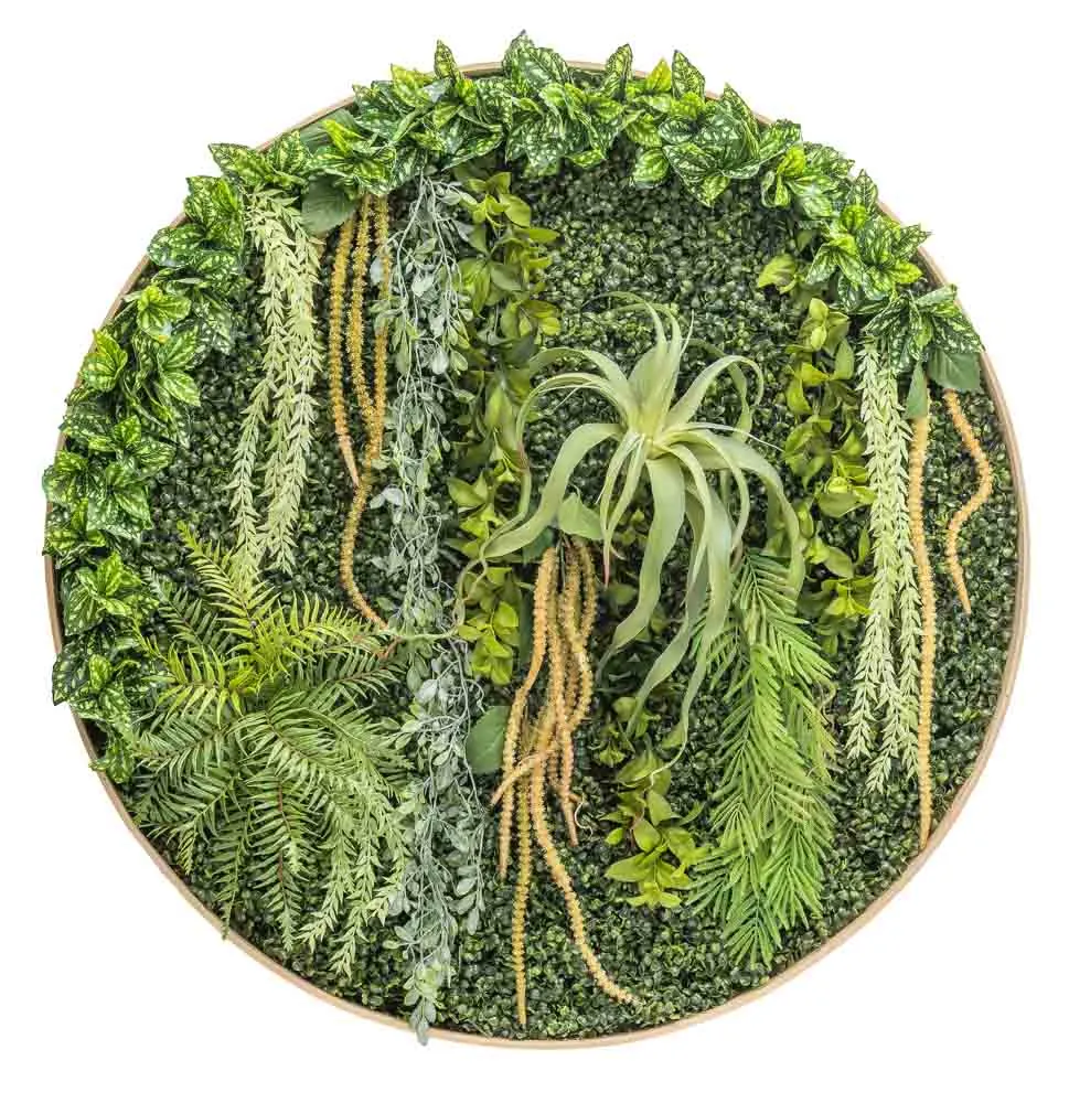 Quadro circolare botanico di tillandsia amaranto