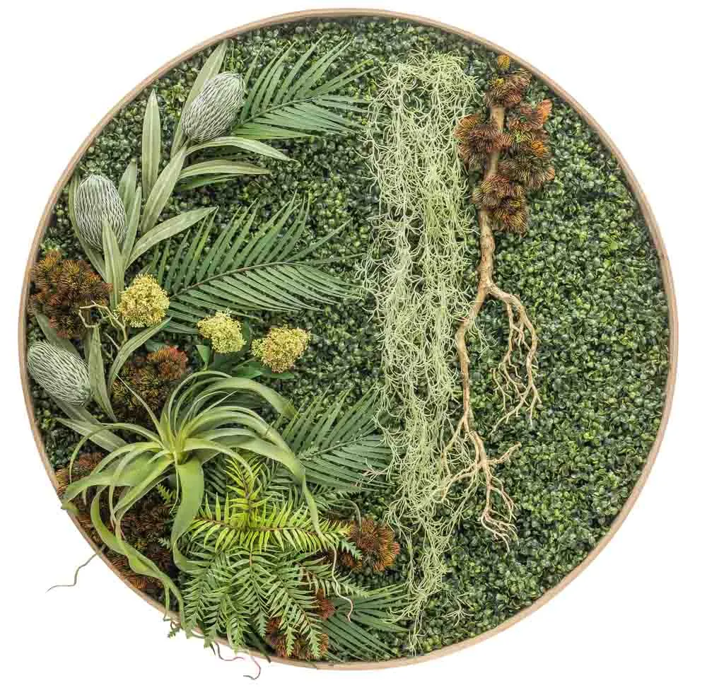 Quadro circolare botanico con tillandsia e muschio