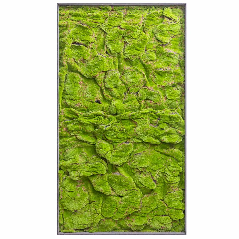 Quadro verticale rettangolare di muschio piatto