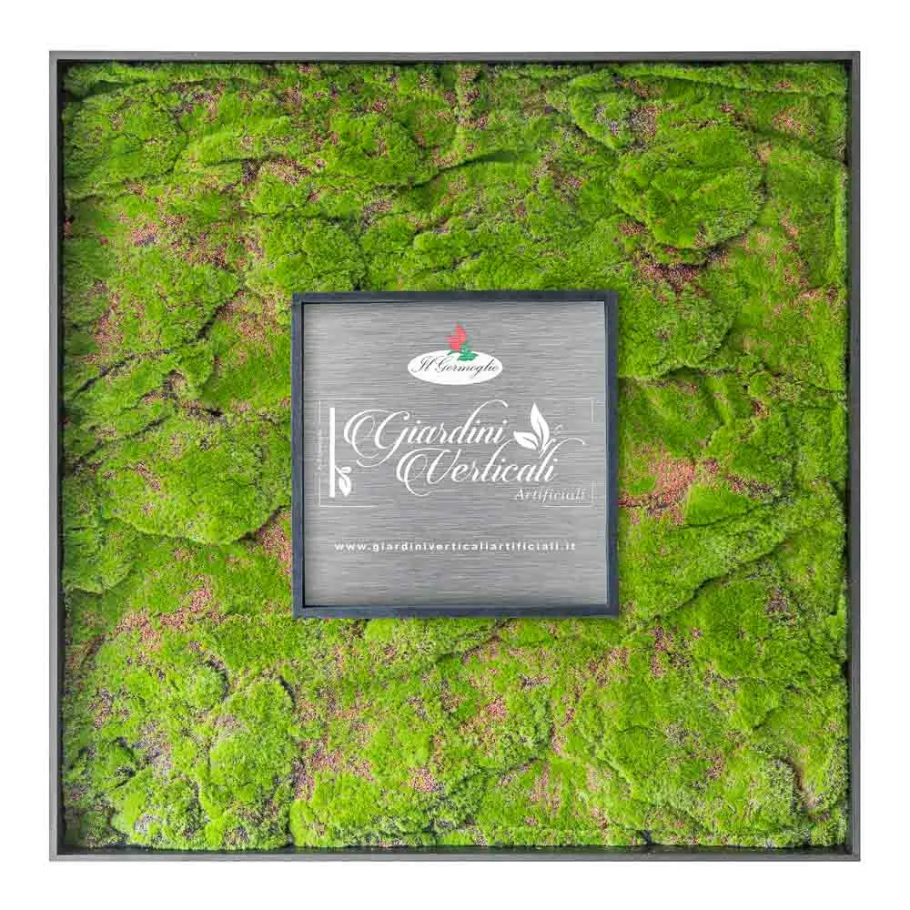 Quadro quadrato di muschio piatto verde