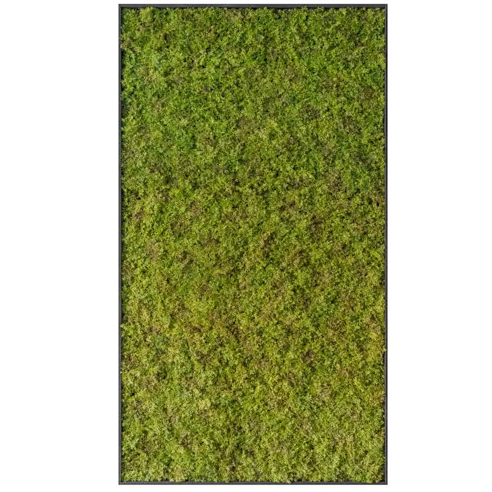 Quadro rettangolare con muschio piatto verde