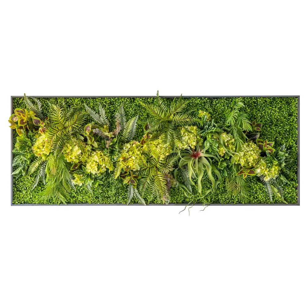 Quadro orizzontale di ortensie e felci tillandsia