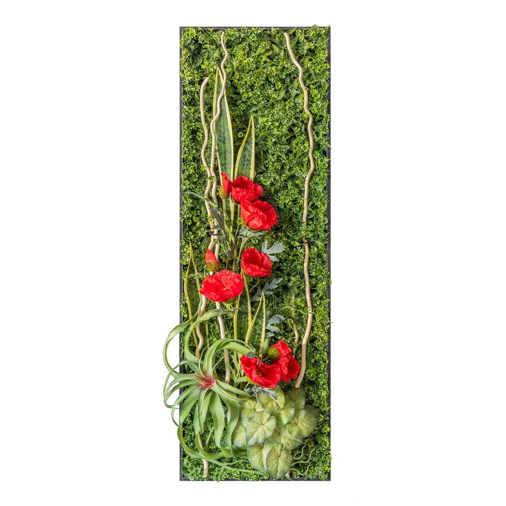Quadro verticale con papaveri rossi e sanseviera