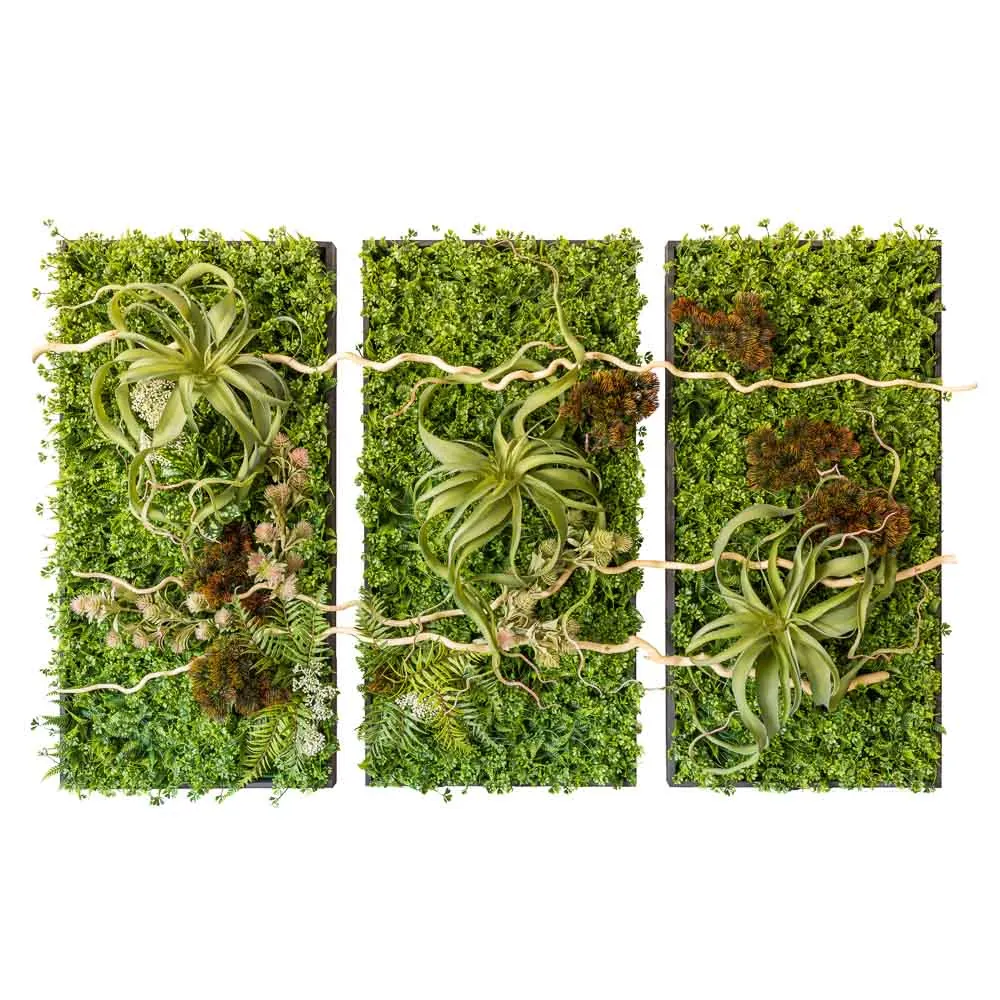 Trittico di quadri tillandsia e rami decorativi