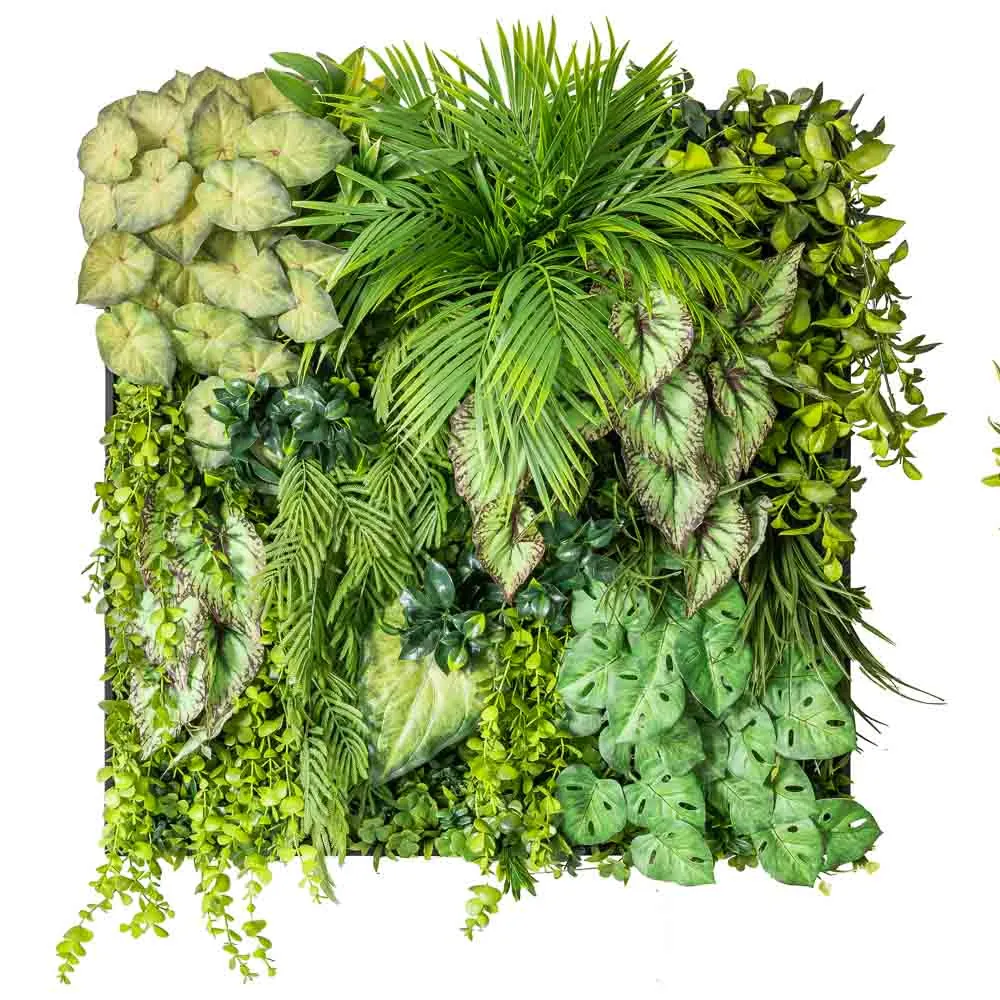 Quadro quadrato tropicale con caladium e monstera