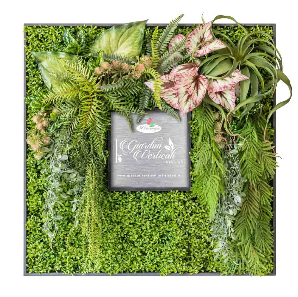 Quadro quadrato con verde caladium tillandsia