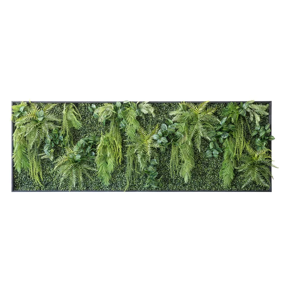 Quadro orizzontale di verde tropicale ricadente