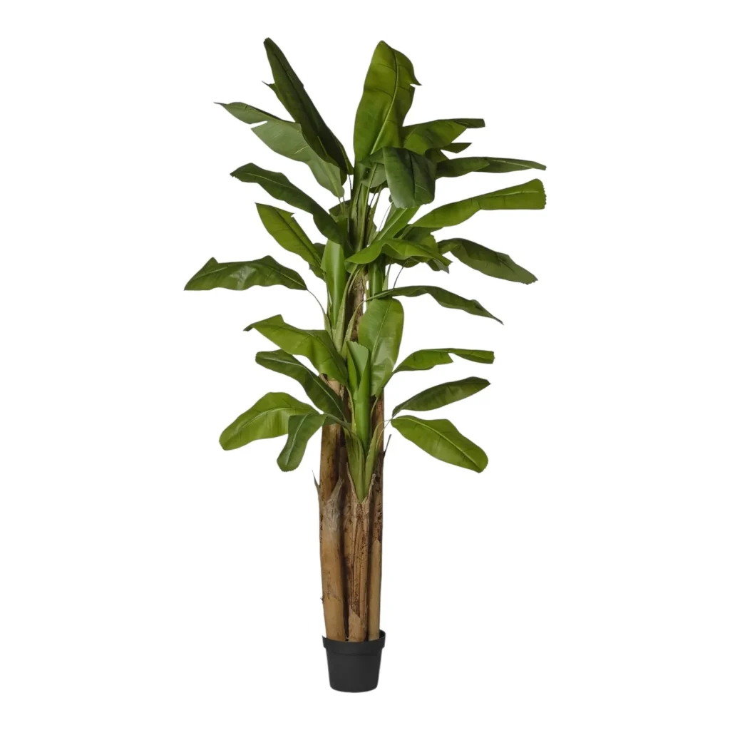 Immagine del prodotto: Banano artificiale decorativo