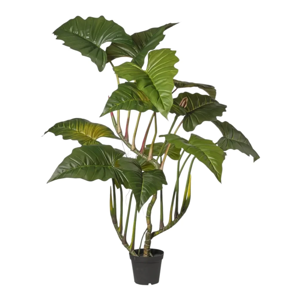Immagine del prodotto: Colocasia artificiale grande