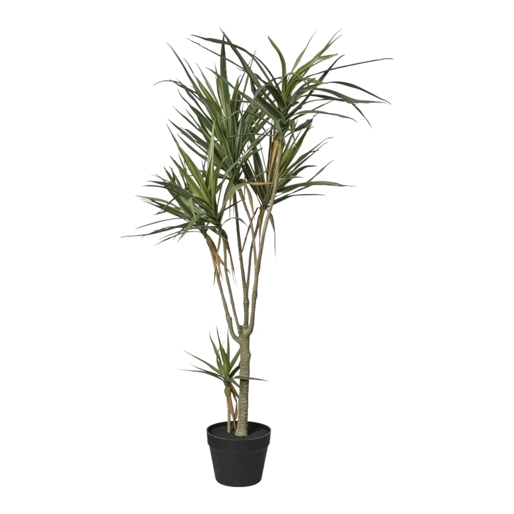 Immagine del prodotto: Dracaena artificiale verde