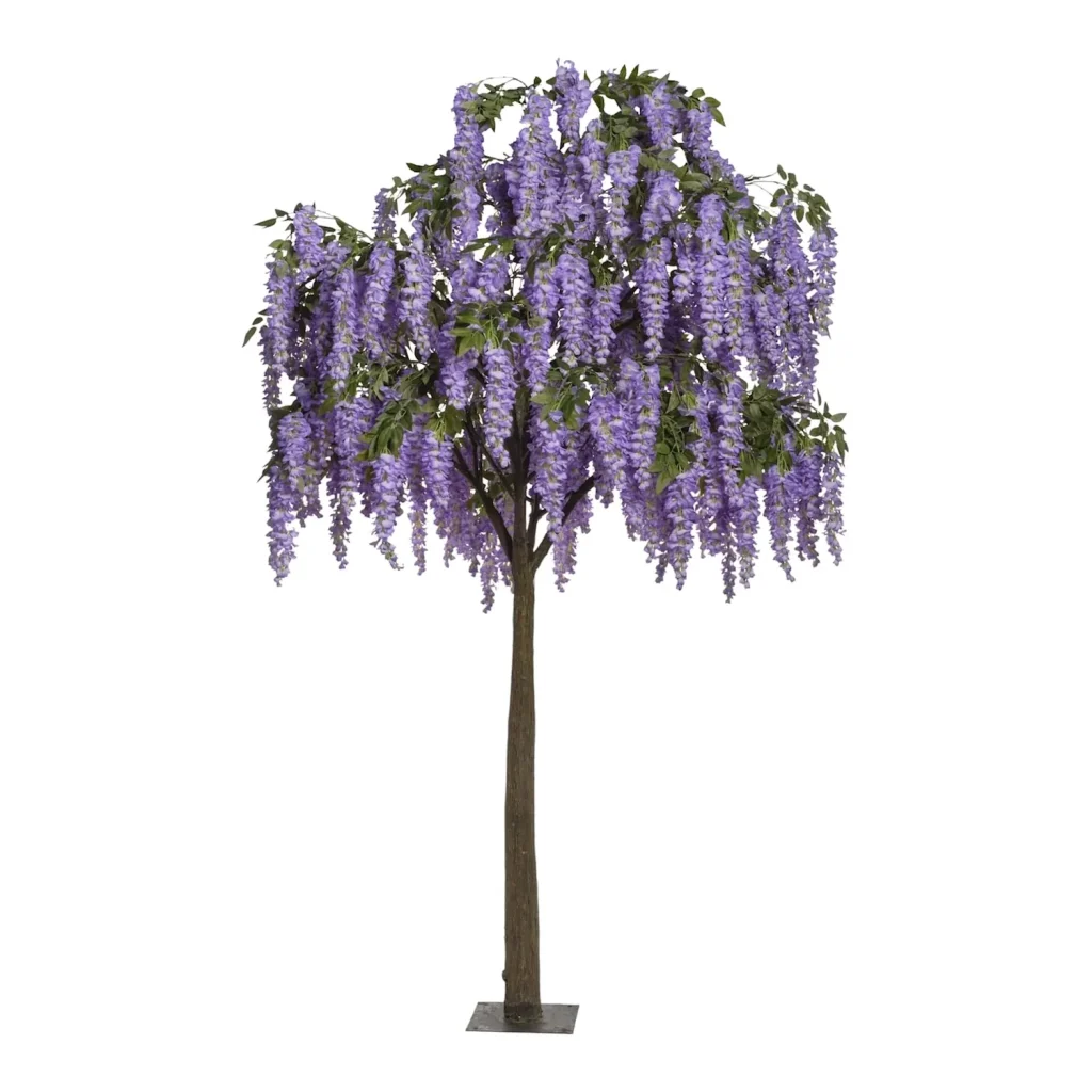 Immagine del prodotto: Glicine artificiale viola