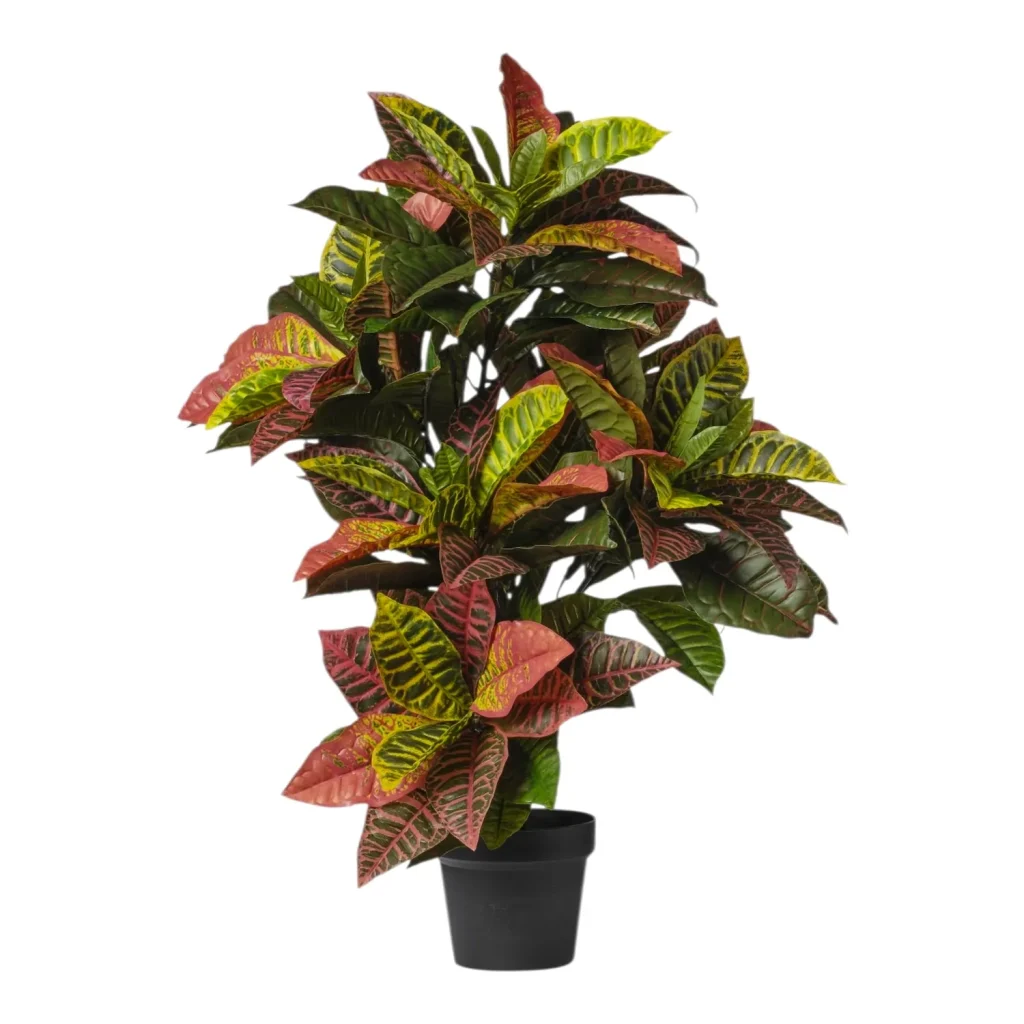 Immagine del prodotto: Croton artificiale alta