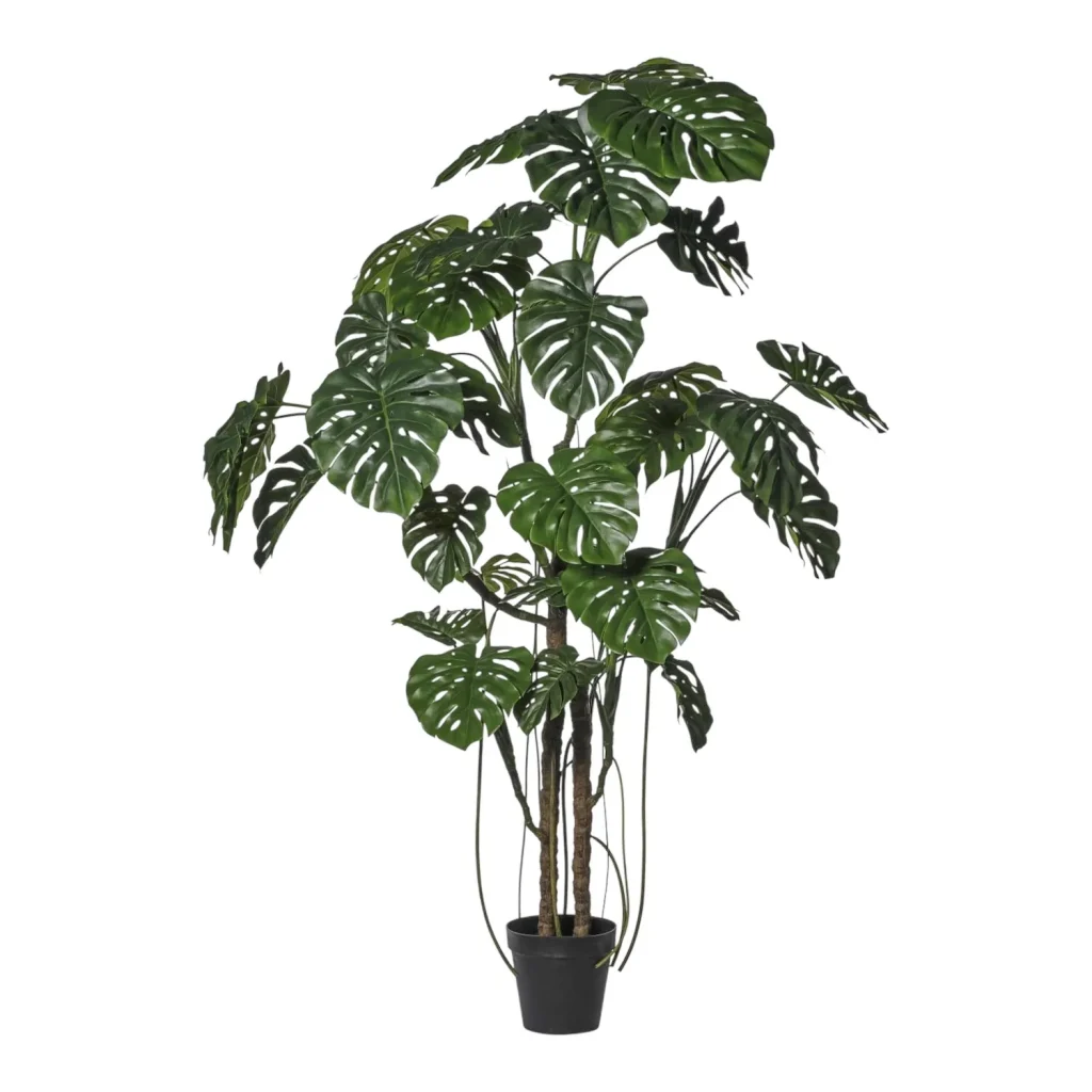 Immagine del prodotto: Monstera artificiale grande