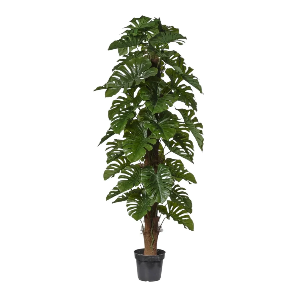 Immagine del prodotto: Monstera artificiale verticale