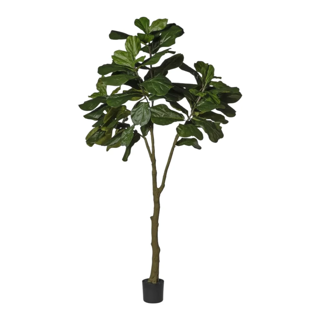 Immagine del prodotto: Pianta Ficus tropicale artificiale