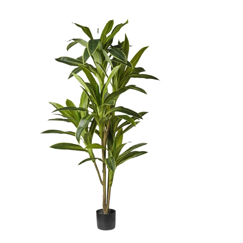 Immagine del prodotto: Sanseveria artificiale verde