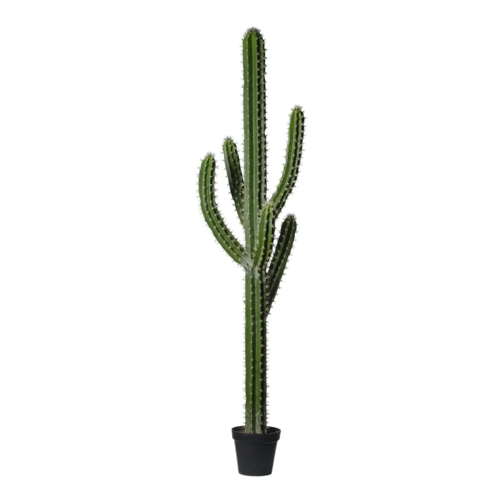 Immagine del prodotto: cactus artificiale alta