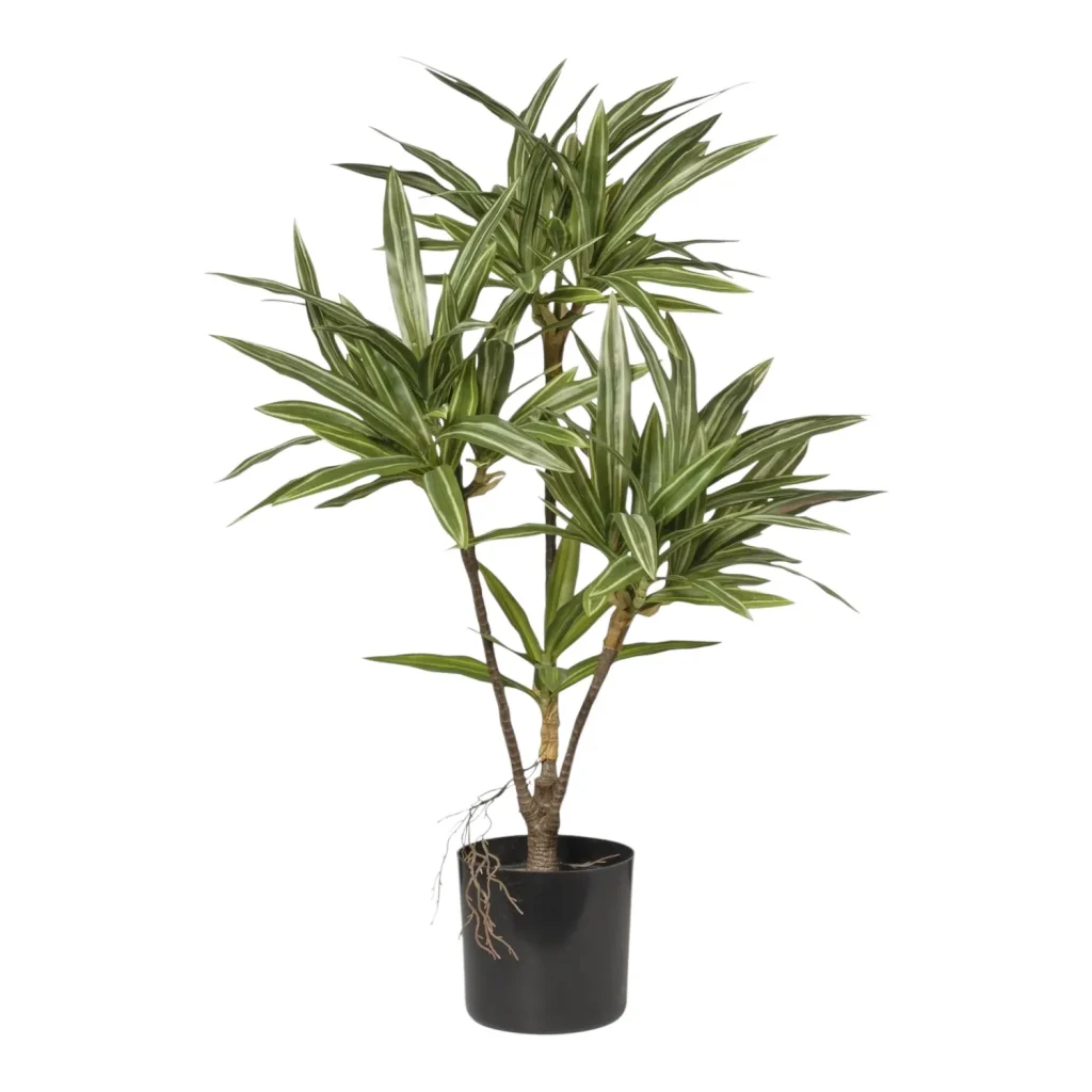 Immagine del prodotto: Dracena artificiale multipla