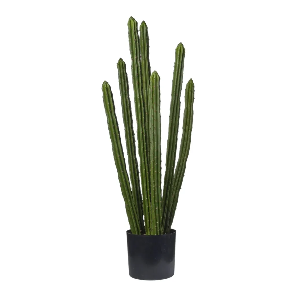 Immagine del prodotto: Cactus artificiale multipla