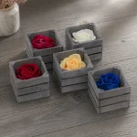 Immagine della gallery