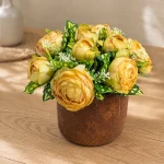 Immagine della gallery