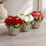 Immagine della gallery